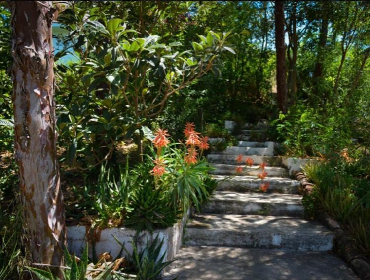 알로라 La Barranca De La Barca B&B 외부 사진