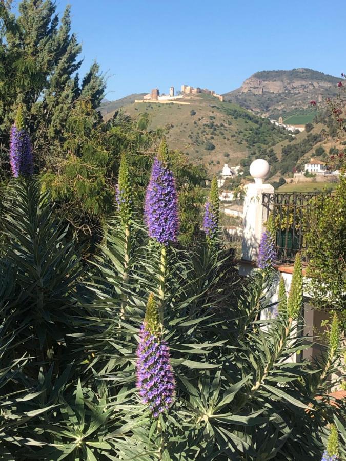 알로라 La Barranca De La Barca B&B 외부 사진