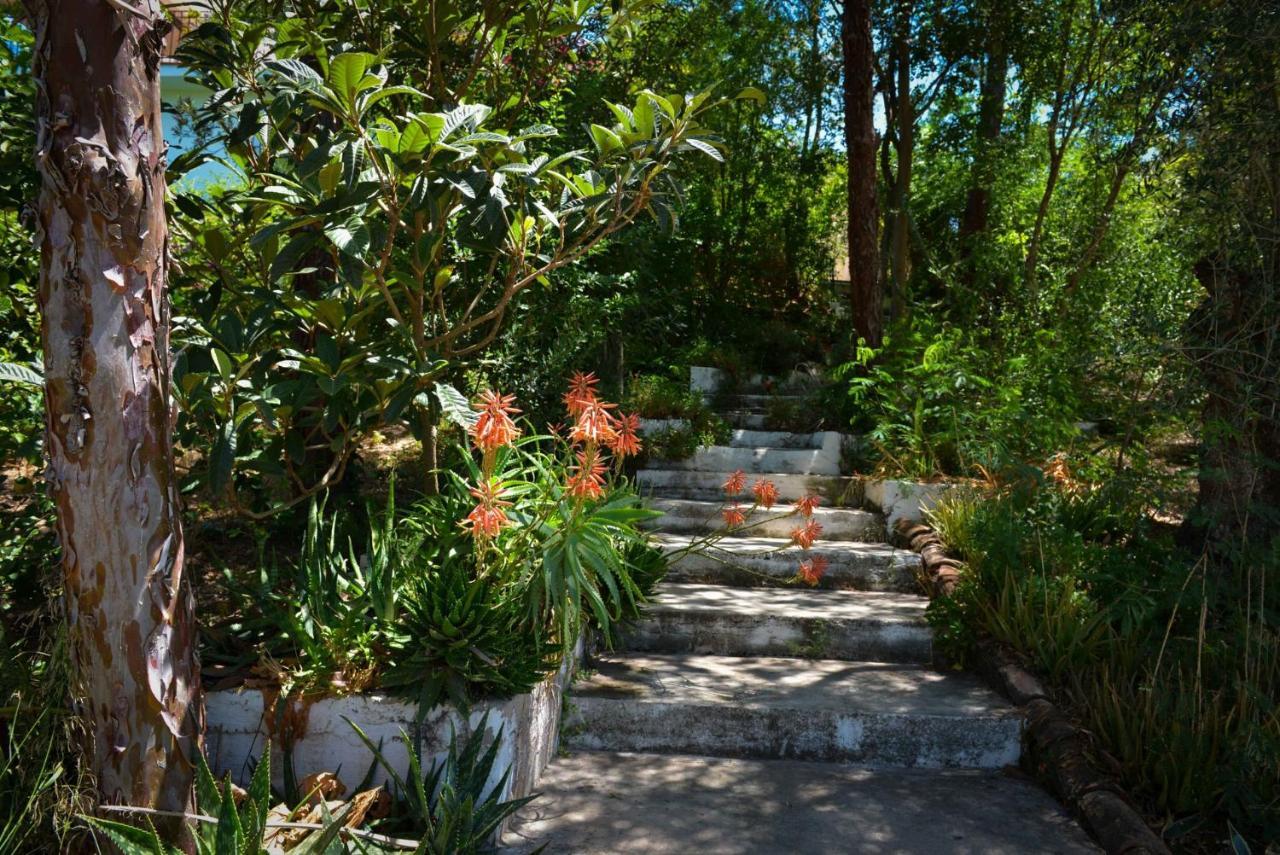 알로라 La Barranca De La Barca B&B 외부 사진